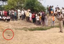 रेत में दबी मिली युवती की लाश, महासमुंद में सनसनी हत्या की आशंका से जांच शुरू