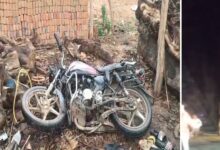 सड़क पर खड़ा ट्रक बना मौत का कारण, बाइक सवार तीन युवकों ने गंवाई जान