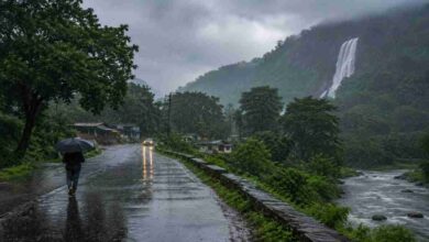 गर्मी से मिलेगी राहत, मध्य प्रदेश में दो दिन के भीतर मानसून आने के संकेत
