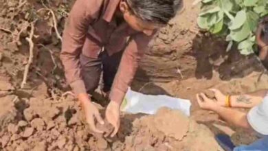 शहडोल में मानवता की मिसाल, 12 दिन के नवजात का समाजसेवियों ने कराया अंतिम संस्कार