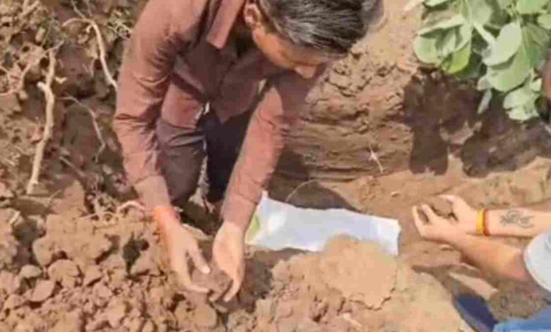 शहडोल में मानवता की मिसाल, 12 दिन के नवजात का समाजसेवियों ने कराया अंतिम संस्कार शहडोल में मानवता की मिसाल, 12 दिन के नवजात का समाजसेवियों ने कराया अंतिम संस्कार
