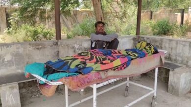 मधुमक्खियों के हमले ने छीनी सास की जान, दामाद घायल, गांव में छाया शोक