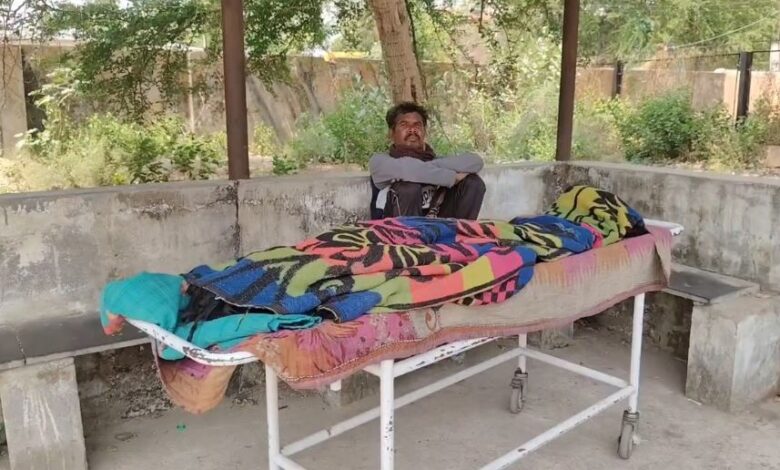 मधुमक्खियों के हमले ने छीनी सास की जान, दामाद घायल, गांव में छाया शोक मधुमक्खियों के हमले ने छीनी सास की जान, दामाद घायल, गांव में छाया शोक