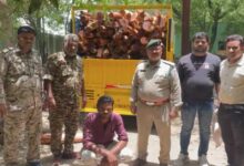 खैर लकड़ी से भरा लोडिंग वाहन पकड़ा, वन विभाग की कार्रवाई से लकड़ी तस्करों में हड़कंप