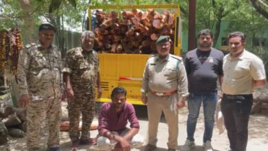 खैर लकड़ी से भरा लोडिंग वाहन पकड़ा, वन विभाग की कार्रवाई से लकड़ी तस्करों में हड़कंप खैर लकड़ी से भरा लोडिंग वाहन पकड़ा, वन विभाग की कार्रवाई से लकड़ी तस्करों में हड़कंप