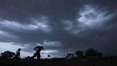 मध्य प्रदेश में मानसून की एंट्री में देरी, 38 जिलों में बारिश और आंधी का अलर्ट