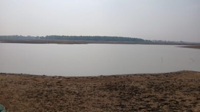 बतरा बांध में बड़ा हादसा, मछली पकड़ने गए 9 ग्रामीणों की नाव पलटी 3 लापता बतरा बांध में बड़ा हादसा, मछली पकड़ने गए 9 ग्रामीणों की नाव पलटी 3 लापता