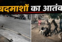 बिलासपुर में पुरानी रंजिश के चलते युवकों पर जानलेवा हमला, 5 आरोपी गिरफ्तार