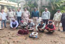 वन्यजीव तस्करी पर शिकंजा बाघ के संदिग्ध अवशेषों के साथ 5 आरोपी गिरफ्तार