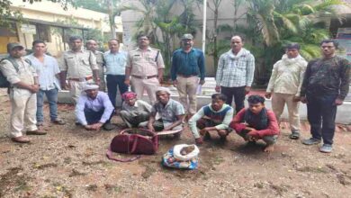 वन्यजीव तस्करी पर शिकंजा बाघ के संदिग्ध अवशेषों के साथ 5 आरोपी गिरफ्तार