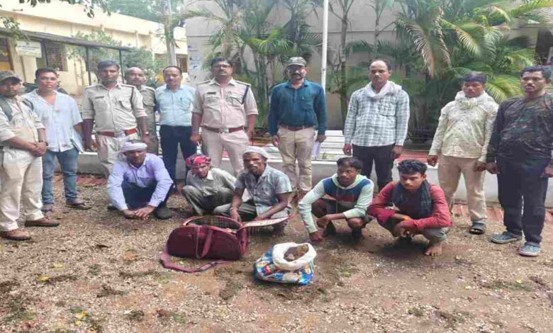 वन्यजीव तस्करी पर शिकंजा बाघ के संदिग्ध अवशेषों के साथ 5 आरोपी गिरफ्तार