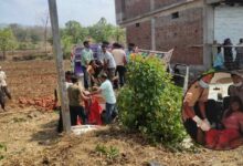 छिंदवाड़ा–बैतूल हाईवे पर भीषण हादसा ट्रक–पिकअप की टक्कर में 5 की मौत, 20 घायल