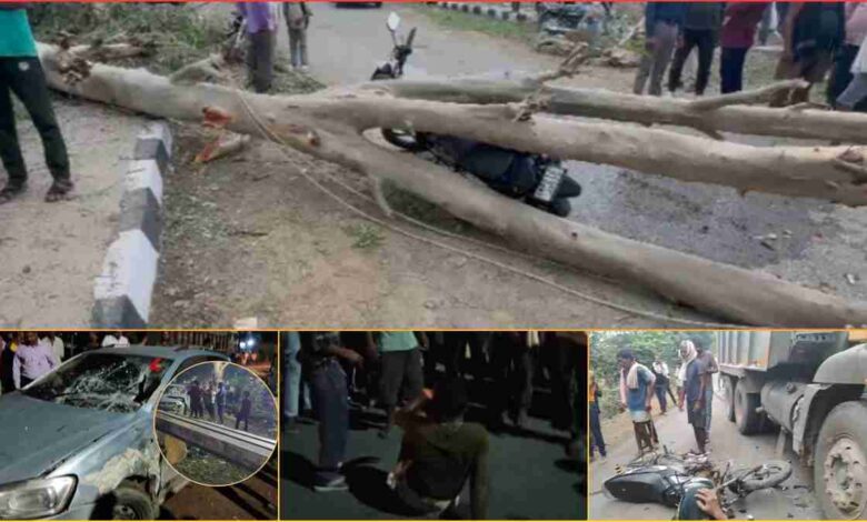 दर्दनाक हादसों का कहर, मैहर में पेड़ गिरने से दो मौतें रायसेन में कार में घुसे बिजली के पोल