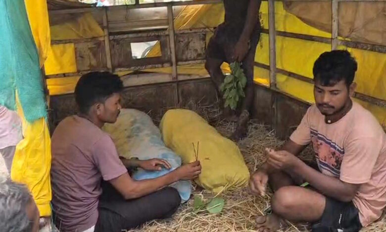 फरसगांव में दर्दनाक हादसा, नहाने गए दो बच्चों की डूबने से मौत फरसगांव में दर्दनाक हादसा, नहाने गए दो बच्चों की डूबने से मौत