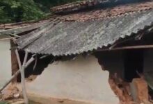 धरमजयगढ़ में हाथियों का आतंक, 5 मकान और झोपड़ी तोड़ी; फसल भी की बर्बाद