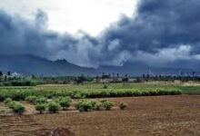 मानसून समय से पहले बस्तर में दे सकता है दस्तक मानसून समय से पहले बस्तर में दे सकता है दस्तक