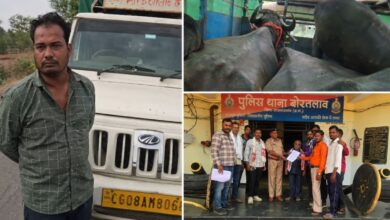 भैंसों से भरी पिकअप मामले में नया मोड़