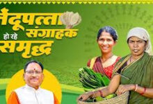 तेन्दूपत्ता संग्राहकों को मिली बड़ी राहत, पहले चरण में 12 हजार से अधिक हितग्राहियों के खातों में पहुंचे 12 करोड़ 