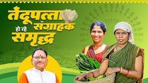 तेन्दूपत्ता संग्राहकों को मिली बड़ी राहत, पहले चरण में 12 हजार से अधिक हितग्राहियों के खातों में पहुंचे 12 करोड़ 