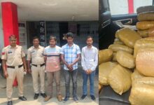 दो कार से 300 किलो गांजे के साथ तीन आरोपी गिरफ्तार