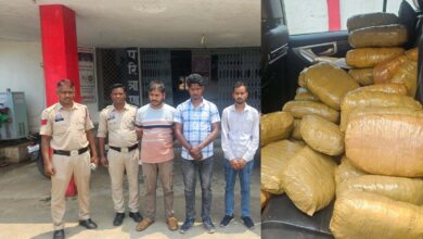दो कार से 300 किलो गांजे के साथ तीन आरोपी गिरफ्तार