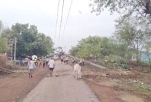 आंधी से मोबाइल टावर और पेड़ गिरने से कई गांव अँधेरे में डूबे