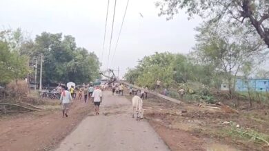 आंधी से मोबाइल टावर और पेड़ गिरने से कई गांव अँधेरे में डूबे