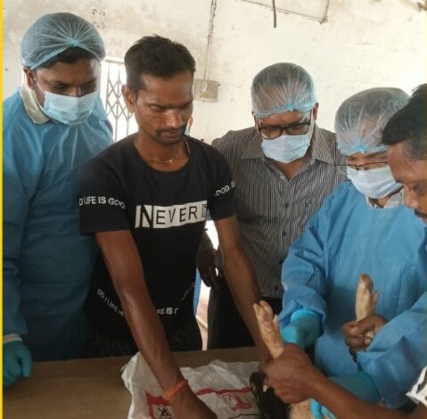 अफ्रीकन स्वाइन फीवर वैक्सीन का ट्रायल करने वैज्ञानिक अंबिकापुर पहुंचे