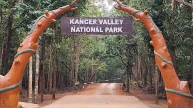 पर्यटकों के लिए एक अक्टूबर तक बंद हुआ कांगेर घाटी राष्ट्रीय उद्यान
