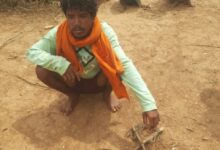 नर चीतल के अवैध शिकार का खुलासा, सात आरोपी गिरफ्तार, न्यायालय ने भेजा जेल
