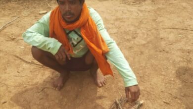 नर चीतल के अवैध शिकार का खुलासा, सात आरोपी गिरफ्तार, न्यायालय ने भेजा जेल