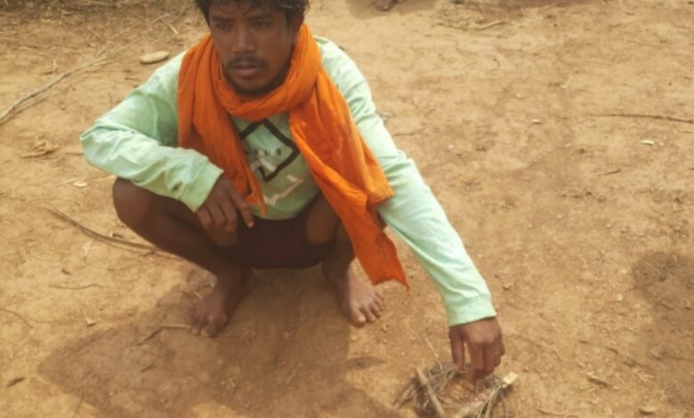 नर चीतल के अवैध शिकार का खुलासा, सात आरोपी गिरफ्तार, न्यायालय ने भेजा जेल