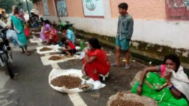 छत्तीसगढ़ की सबसे महंगी शाकाहारी सब्जी बारिश आते ही पहुंचा बाजार में, कीमत 1000 किलो तक!