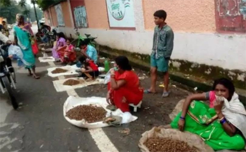छत्तीसगढ़ की सबसे महंगी शाकाहारी सब्जी बारिश आते ही पहुंचा बाजार में, कीमत 1000 किलो तक!