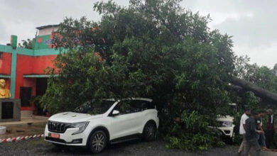 भारी वर्षा के बीच दंतेवाड़ा भाजपा कार्यालय परिसर में विशाल पेड़ गिरा भारी वर्षा के बीच दंतेवाड़ा भाजपा कार्यालय परिसर में विशाल पेड़ गिरा