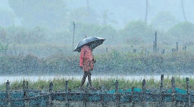 बस्तर संभाग में आषाढ़ की दस्तक के साथ ही मानसून ने पकड़ी रफ्तार