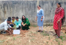 मुनगा पौधरोपण का शुभारंभ : आंगनबाडिय़ों में विकसित होंगी सुपोषण वाटिकाएं, पोषण और पर्यावरण संरक्षण को मिलेगा बढ़ावा