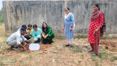 मुनगा पौधरोपण का शुभारंभ : आंगनबाडिय़ों में विकसित होंगी सुपोषण वाटिकाएं, पोषण और पर्यावरण संरक्षण को मिलेगा बढ़ावा