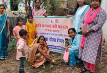कुपोषण मुक्त छत्तीसगढ़ की दिशा में अनूठी पहल : मुनगा पौधारोपण से घर-घर पहुंचेगा पोषण का संदेश