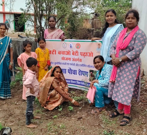 कुपोषण मुक्त छत्तीसगढ़ की दिशा में अनूठी पहल : मुनगा पौधारोपण से घर-घर पहुंचेगा पोषण का संदेश