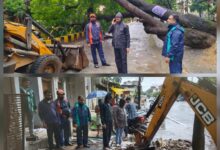 बारिश के बीच महापौर ने विभिन्न वार्डों का किया भ्रमण, व्यवस्थाओं का लिया जायजा
