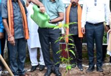 प्रदेशभर में हरित छत्तीसगढ़ के संकल्प को मिल रही नई गति, गौरेला-पेंड्रा-मरवाही में वृहद वृक्षारोपण एवं एटीएम ट्री वाहन का शुभारंभ