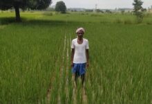 खगपति ने बदला खेती का तरीका, पारंपरिक से आधुनिक कृषि अपनाकर की अपनी आय दोगुनी