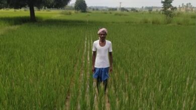 खगपति ने बदला खेती का तरीका, पारंपरिक से आधुनिक कृषि अपनाकर की अपनी आय दोगुनी
