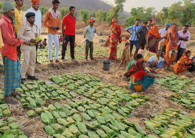 सुकमा के 42 हजार तेंदूपत्ता संग्राहकों के बैंक खातों में की गई 40.72 करोड़ अंतरित सुकमा के 42 हजार तेंदूपत्ता संग्राहकों के बैंक खातों में की गई 40.72 करोड़ अंतरित