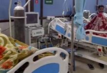 देशी मशरूम खाने से एक ही परिवार के आठ लोग फूड पॉइजनिंग का हुए शिकार