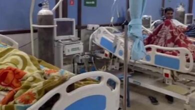 देशी मशरूम खाने से एक ही परिवार के आठ लोग फूड पॉइजनिंग का हुए शिकार