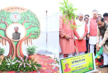 विस परिसर में मुख्यमंत्री साय और विस अध्यक्ष सिंह ने लगाया रुद्राक्ष का पौधा