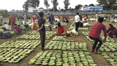 तेंदूपत्ता संग्रहण से मोहला-मानपुर जिले के 37 हजार 131 संग्राहक परिवारों को मिला 30 करोड़ 65 लाख 79 हजार से अधिक का भुगतान तेंदूपत्ता संग्रहण से मोहला-मानपुर जिले के 37 हजार 131 संग्राहक परिवारों को मिला 30 करोड़ 65 लाख 79 हजार से अधिक का भुगतान