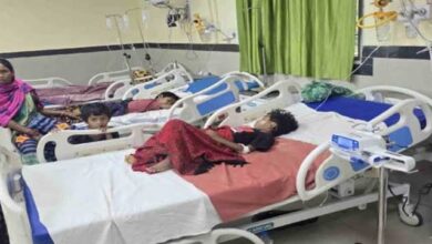 कांकेर में मलेरिया से 10 दिन में 3 मौतें, बस्तर संभााग में 8426 मरीज पॉजिटिव मिले